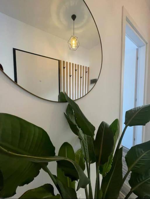 Tirana City Comfort Dış mekan fotoğraf